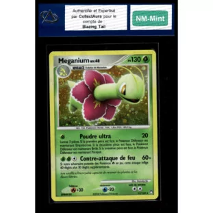 Meganium 13/123 - Reverse - Near Mint