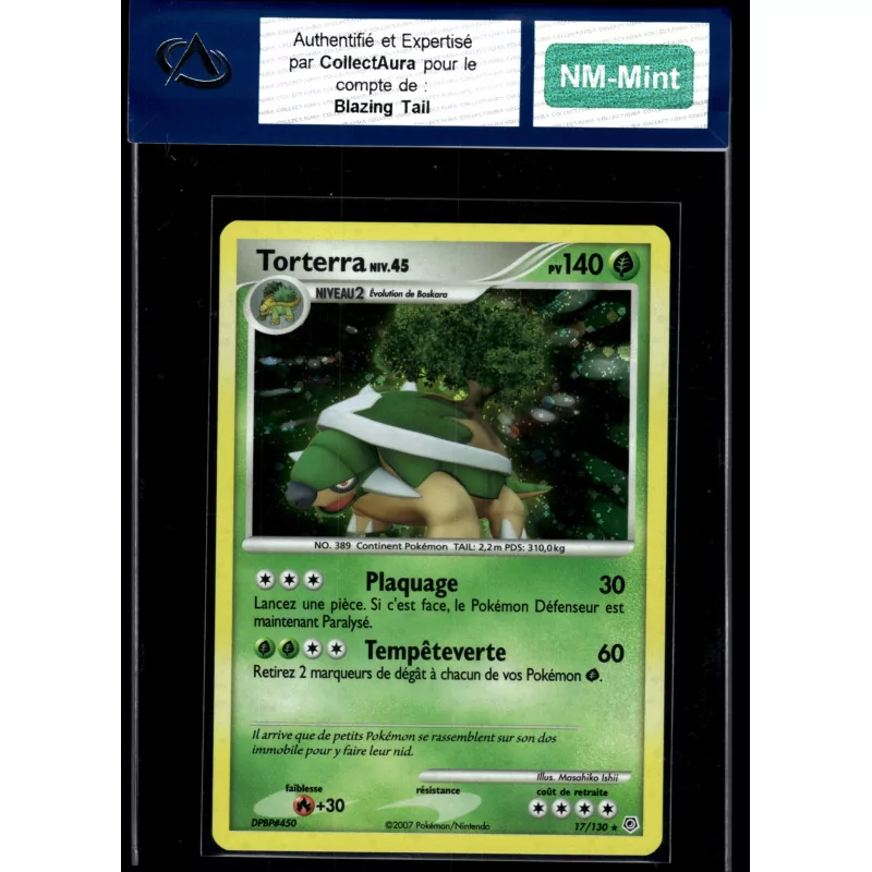Torterra 17/130 - Holographique - Near Mint